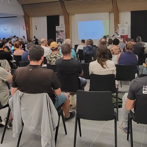 375991196_686759626820553_3084460390903988529_n