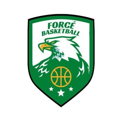 FORCE UNION SPORTIVE