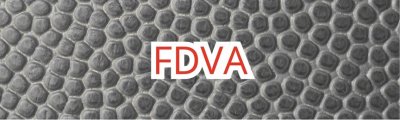Fonds pour le Développement de la Vie Associative (FDVA)