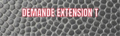 Demande Extension T 2026-27