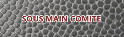 Sous-main comité